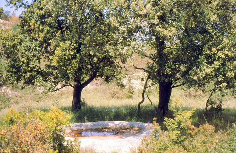 1989 13-Lavogne près du monastère troglodytique du GR42