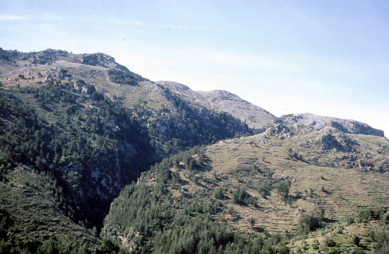 04-Gorge près d'Agia Irini