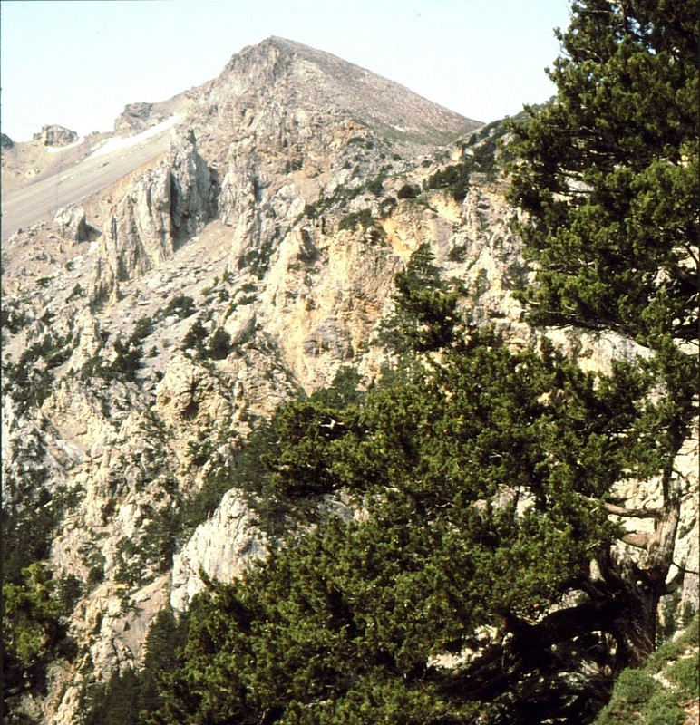 08-Au-dessus des gorges de Samaria le mont Gigilos