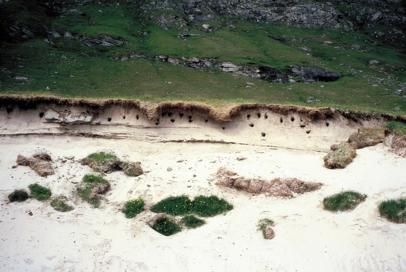 004-Près d'Utaklev muret sablonneux où les hirondelles de mer ont creusé des nids