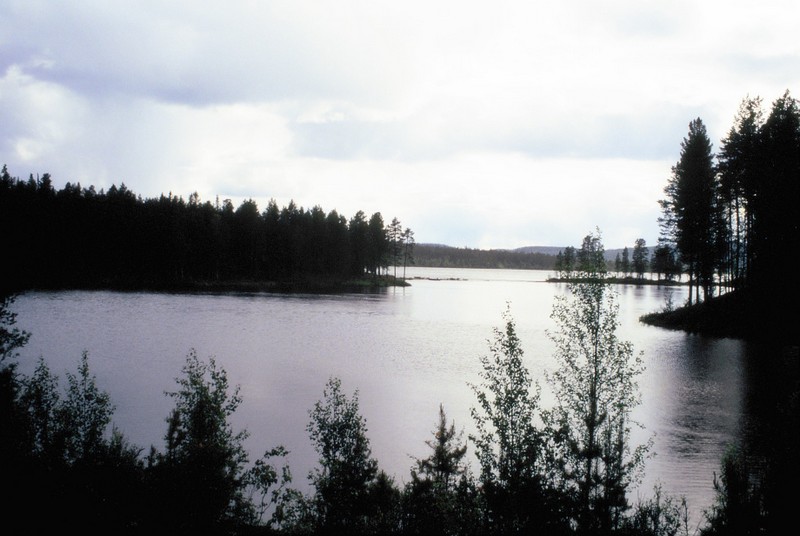 007- De Jokkmokk à Kvikkjokk en Laponie