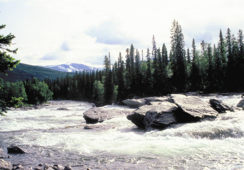 009- Le fleuve torrent de Kvikkjokk