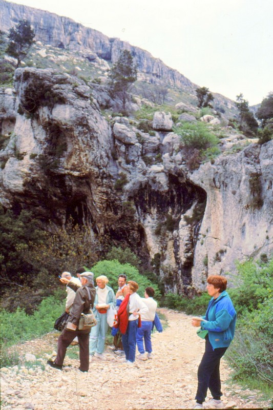 1993 16 Groupe bota sur le chemin de la Font de l' Oule