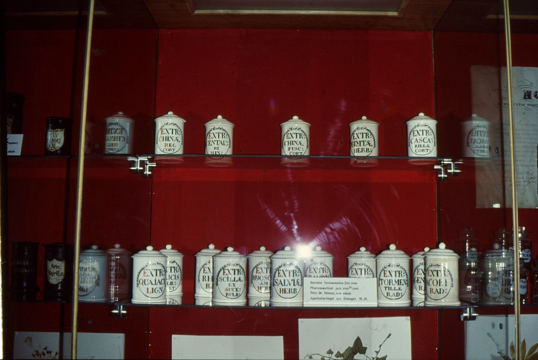 1993 06 Sighisoara Musée de la pharmacie