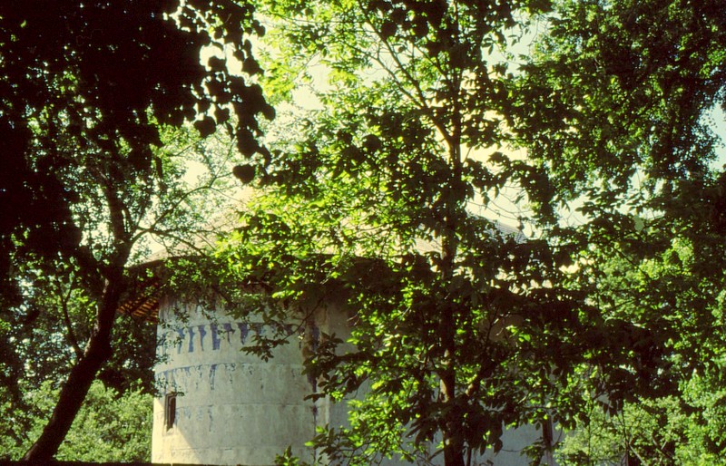 1993 34 Monastère Arbore