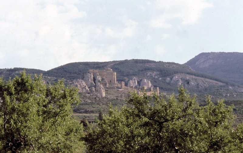 Château de Loarre vu depuis une plantation d'amandiers