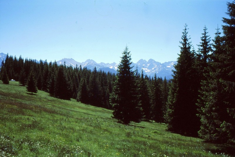 Les Tatras près de la frontière vers Lysa Polana