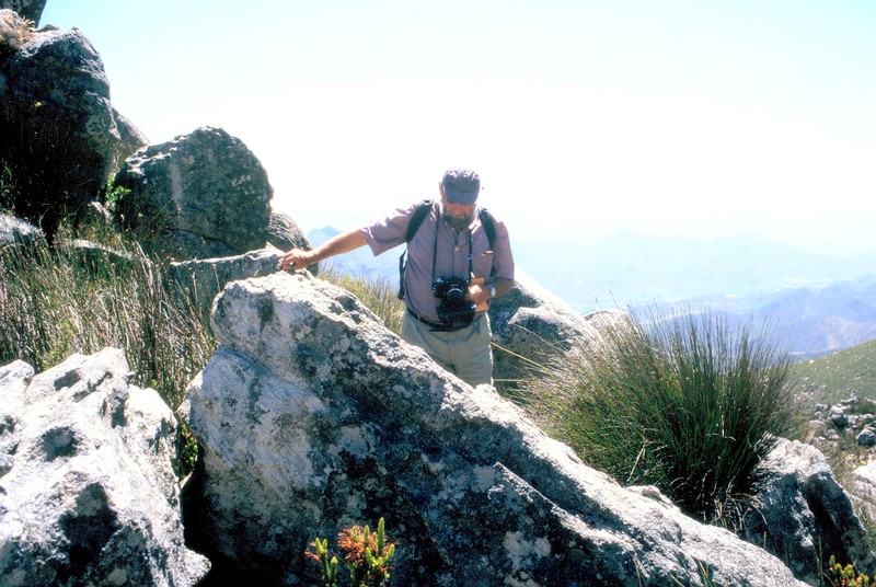 Gérard herborisant à Koo Valley